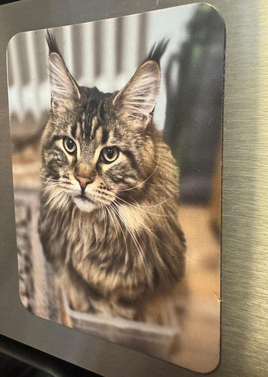 Fotomagnet / personalisierter Magnet