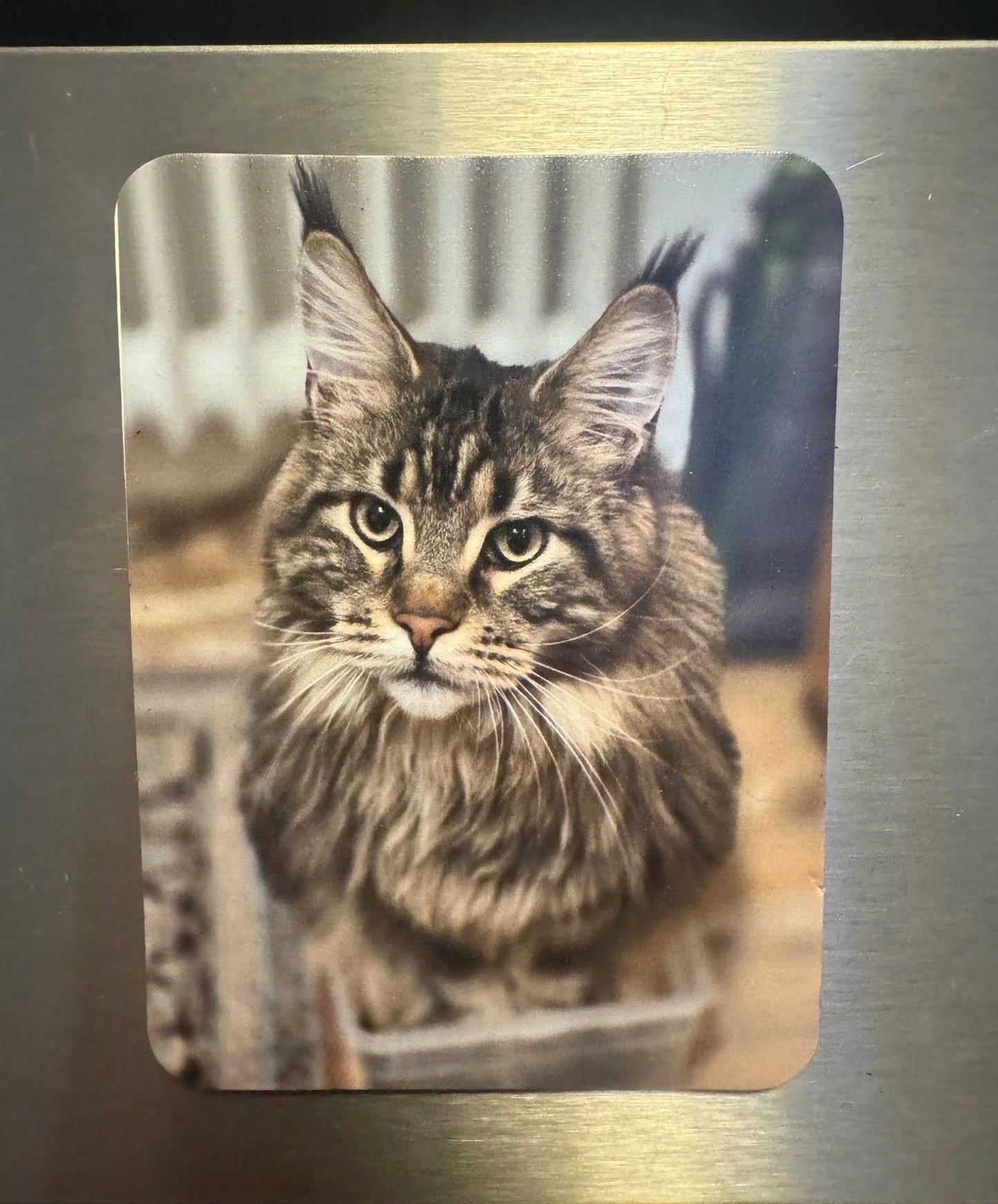 Fotomagnet / personalisierter Magnet
